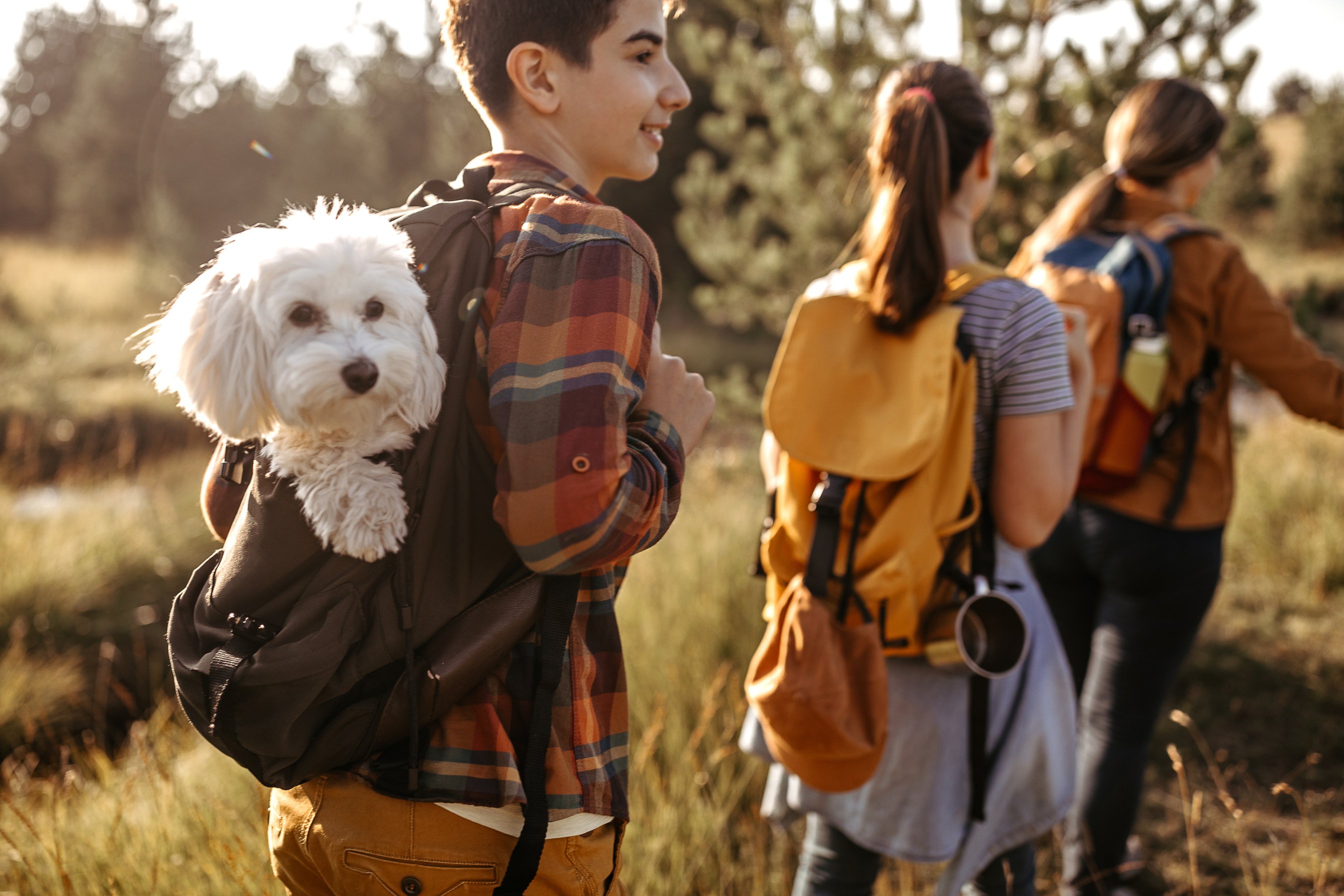 Family hiking with pet dog